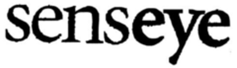 senseye Logo (IGE, 03.08.2004)
