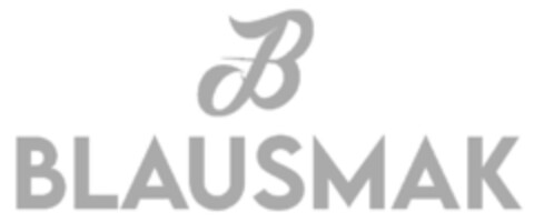 BLAUSMAK Logo (IGE, 25.06.2021)