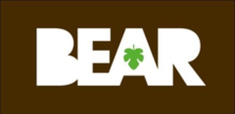 BEAR Logo (IGE, 28.06.2021)