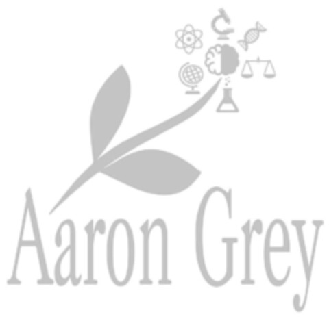 Aaron Grey Logo (IGE, 03.03.2015)
