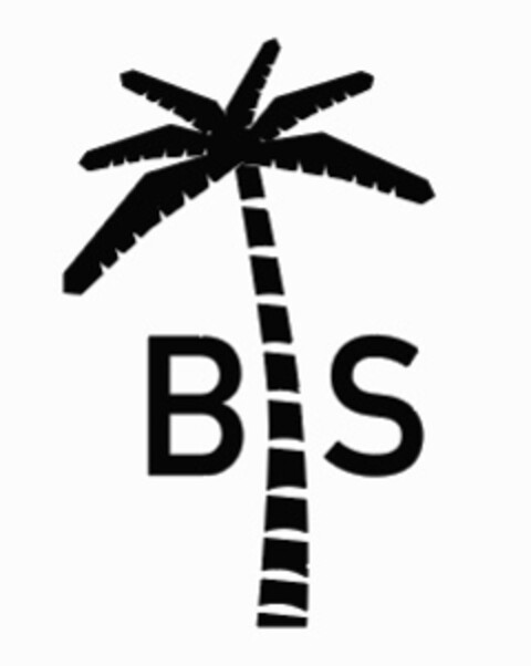 BS Logo (IGE, 16.01.2020)