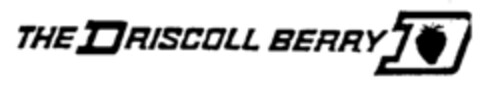 THE DRISCOLL BERRY Logo (IGE, 05.09.1989)