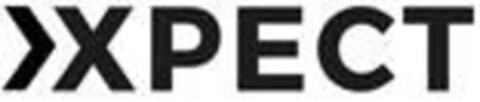 XPECT Logo (IGE, 15.07.2021)