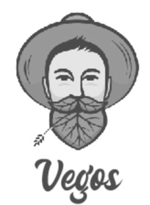 Vegos Logo (IGE, 10/29/2023)