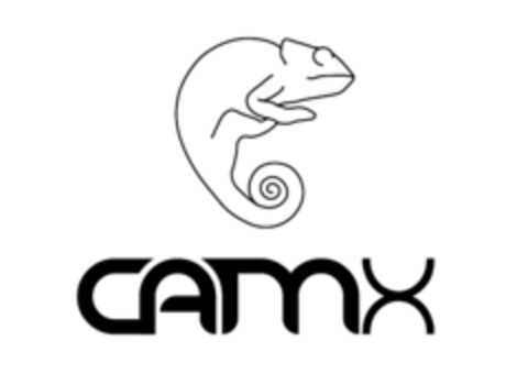 camx Logo (IGE, 03.09.2008)