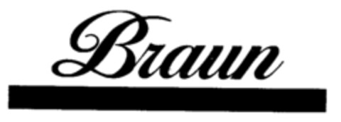 Braun Logo (IGE, 11/07/1991)