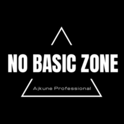 NO BASIC ZONE Ajkune Professional Logo (IGE, 24.06.2020)