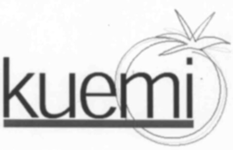 kuemi Logo (IGE, 11.03.2004)