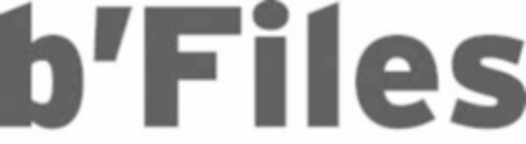 b'Files Logo (IGE, 12.04.2007)