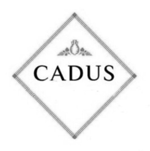 CADUS Logo (IGE, 27.05.2019)