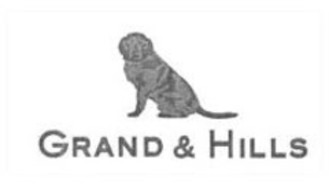 GRAND & HILLS Logo (IGE, 21.10.2016)