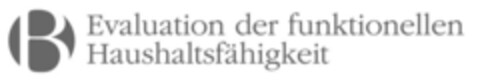 Evaluation der funktionellen Haushaltsfähigkeit Logo (IGE, 31.05.2010)