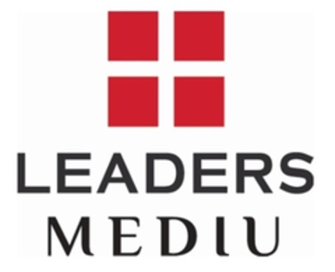 LEADERS MEDIU Logo (IGE, 27.03.2018)