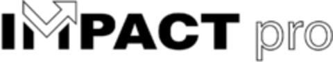 IMPACT pro Logo (IGE, 14.02.2014)