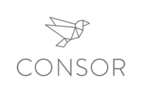 CONSOR Logo (IGE, 21.02.2018)