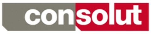 consolut Logo (IGE, 06.05.2010)