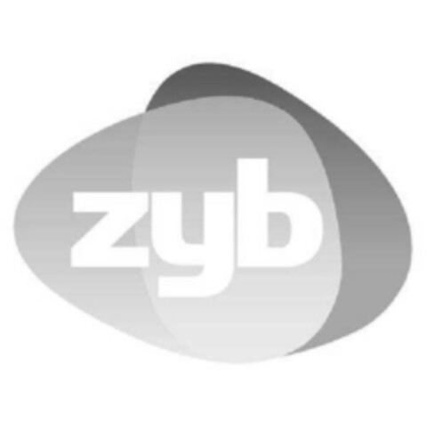 zyb Logo (IGE, 12.11.2008)