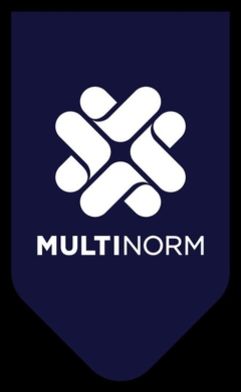 MULTINORM Logo (IGE, 06.09.2023)
