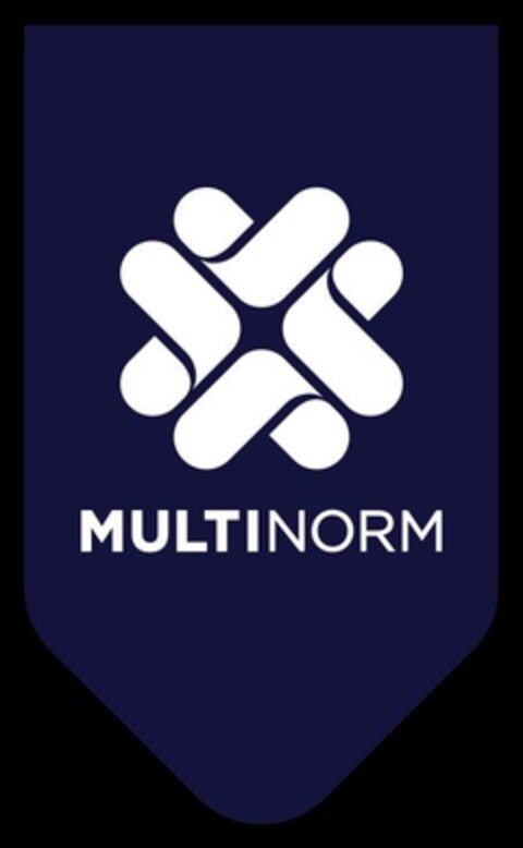 MULTINORM Logo (IGE, 09/06/2023)