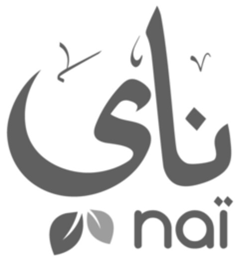 nai Logo (IGE, 10.10.2016)