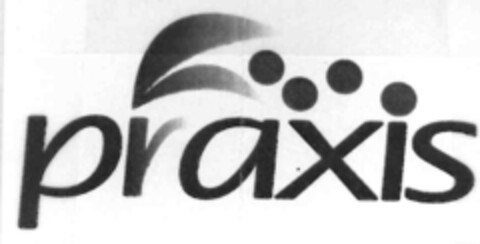 praxis Logo (IGE, 17.08.1999)