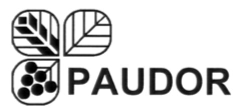 PAUDOR Logo (IGE, 08/02/2012)