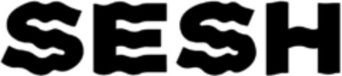 SESH Logo (IGE, 11.11.2019)