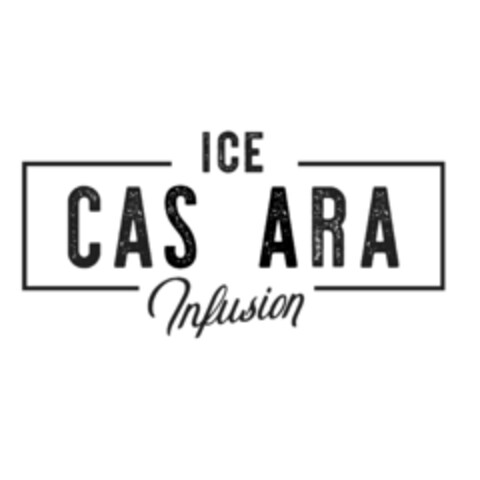ICE CAS ARA Infusion Logo (IGE, 19.09.2018)