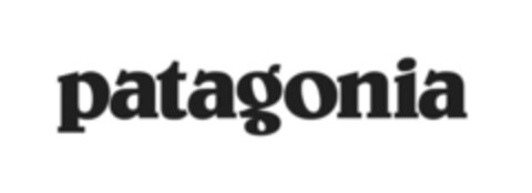 patagonia Logo (IGE, 20.01.2020)