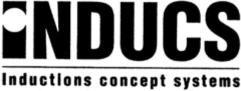 INDUCS Inductions concept systems Logo (IGE, 30.03.1999)