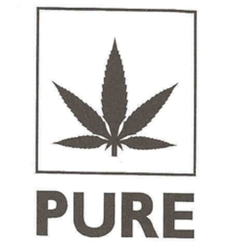 PURE Logo (IGE, 03.03.2004)