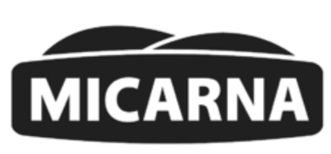 MICARNA Logo (IGE, 15.04.2013)