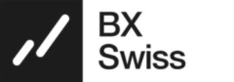 BX Swiss Logo (IGE, 08/29/2013)