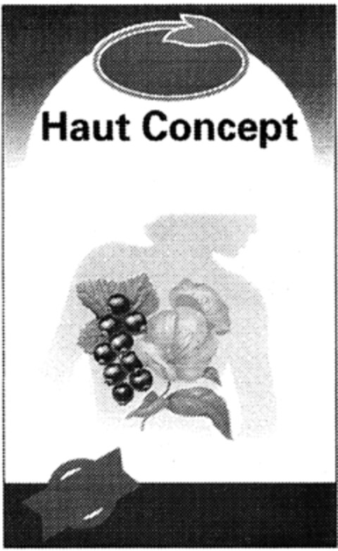 Haut Concept Logo (IGE, 02/05/1999)