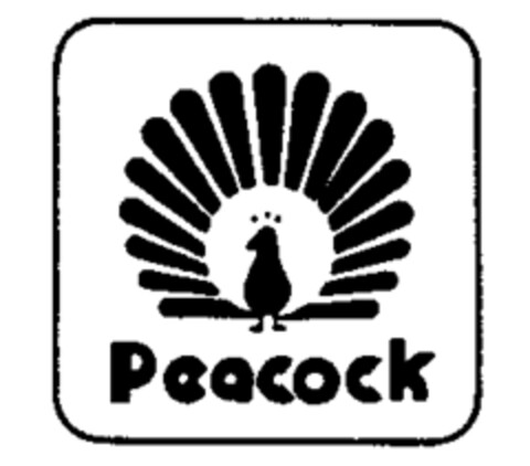 Peacock Logo (IGE, 08/07/1990)