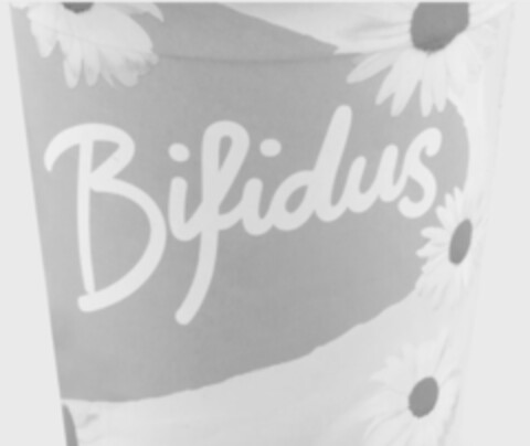 Bifidus Logo (IGE, 10/11/2023)