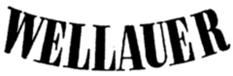 WELLAUER Logo (IGE, 05/08/2003)