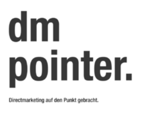 dm pointer. Directmarketing auf den Punkt gebracht Logo (IGE, 26.08.2008)