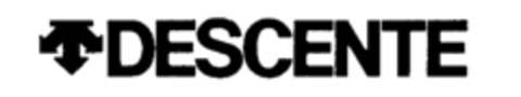 DESCENTE Logo (IGE, 02/17/1989)