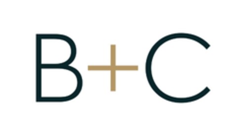 B+C Logo (IGE, 17.01.2019)