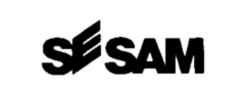 SESAM Logo (IGE, 31.01.1995)