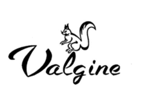Valgine Logo (IGE, 04/14/1977)