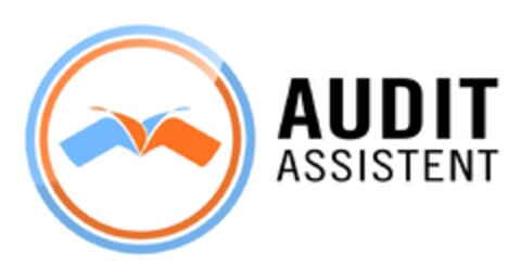 AUDIT ASSISTENT Logo (IGE, 06/15/2020)