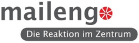 maileng Die Reaktion im Zentrum Logo (IGE, 23.06.2005)