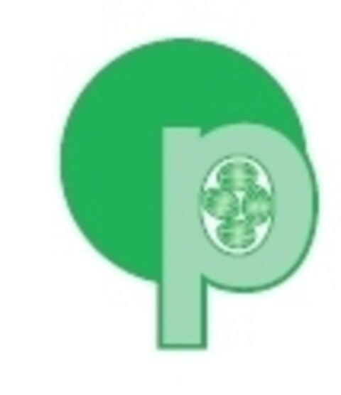 p Logo (IGE, 18.09.2017)