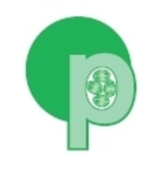 p Logo (IGE, 09/18/2017)