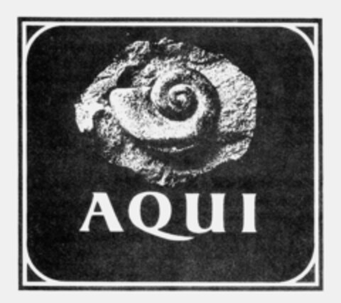 AQUI Logo (IGE, 03/23/1993)