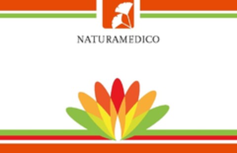 NATURAMEDICO Logo (IGE, 17.12.2020)