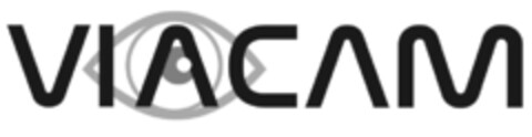 VIACAM Logo (IGE, 11.04.2012)