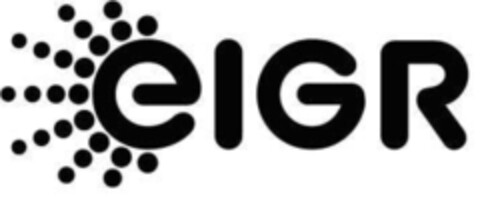 eIGR Logo (IGE, 18.05.2012)